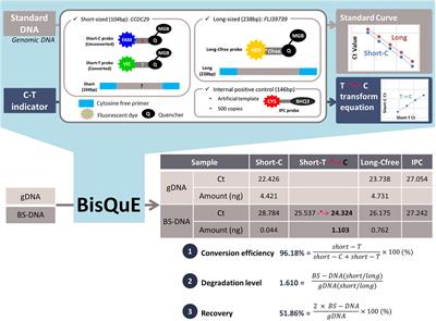 Bisulfite-Converted DNA Quantity Evaluation: A Multiplex Quantitative Real-Time PCR System for Evaluation of Bisulfite Conversion